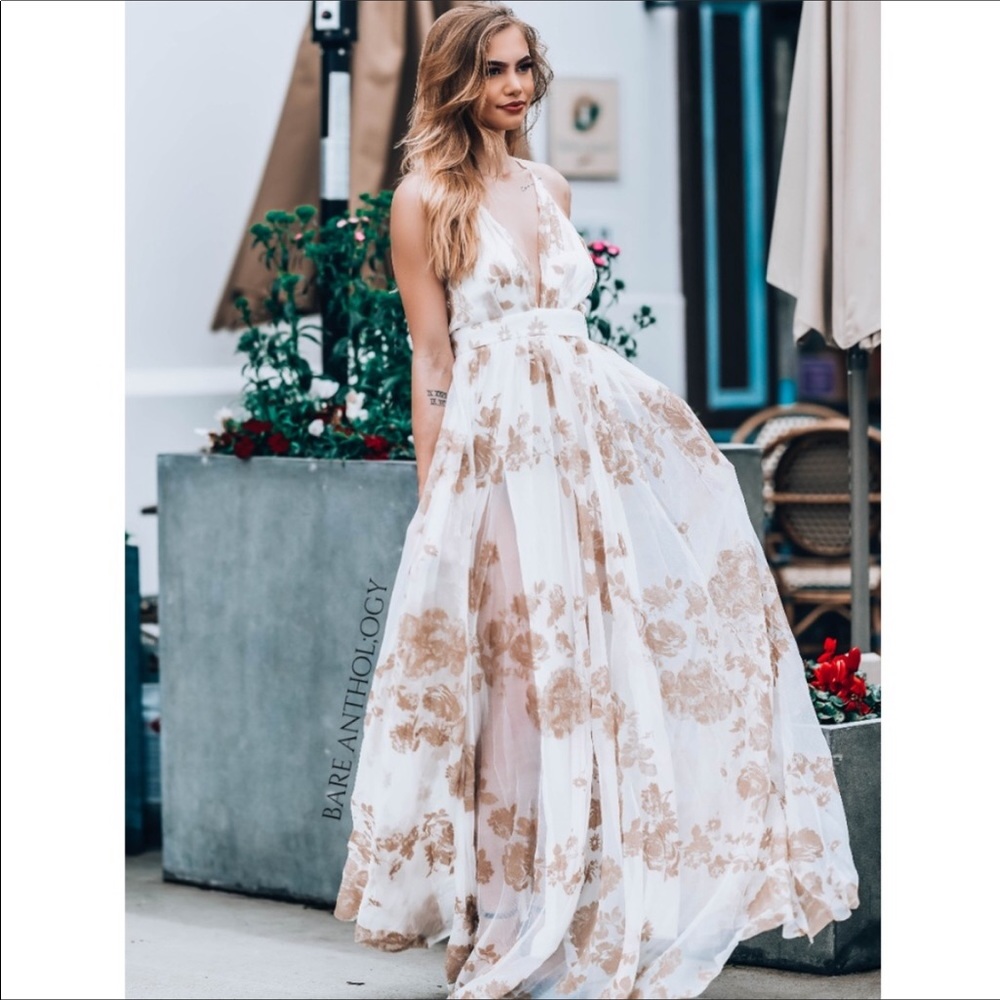💜NWT Stunning Tulle/Beige Velvet Maxi - Picture 5 of 6